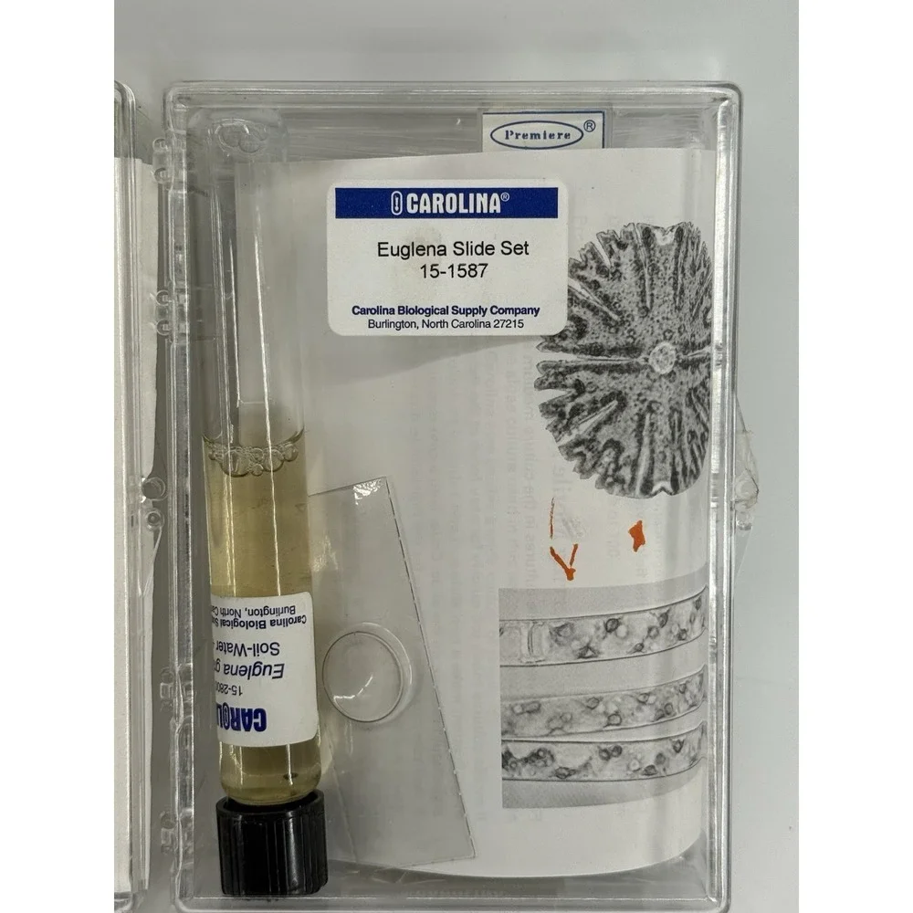 Carolina‎ Euglena & Merismopedia Algae Microscope Slide Set w/ Observation Gel